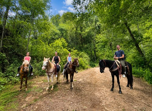 Recorrido a caballo en grupo por senderos boscosos en el hotel Sento SanMa, San Mateo Río Hondo