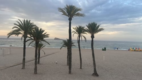 Playa de Benidorm con palmeras y vistas al mar Mediterráneo en el apartamento de lujo Milán Soria