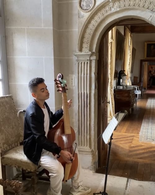 Musicien avec violoncelle dans un élégant couloir du Château du Fraisse, Nouic, France