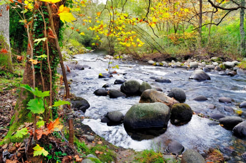 Río otoñal con rocas cubiertas de musgo y follaje amarillo en Hotel Arenas Rio, Arenas de San Pedro, España