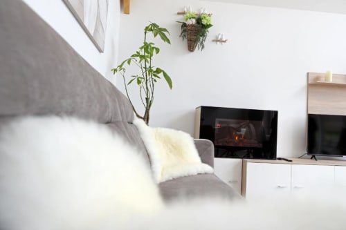 Séjour cosy aux gîtes de la vallée de l'Artois avec cheminée, TV, plantes en pot et coussins crème