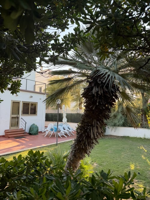 Giardino Villa Mareluce presso Casa Bella Pantheon, Santa Marinella con palma, prato e sedute in terrazza