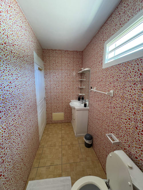 Salle de bain moderne de la villa L'ASETA PARADISE à Grand-Bourg avec murs à motifs rouges, lavabo blanc, toilettes et carrelage bois