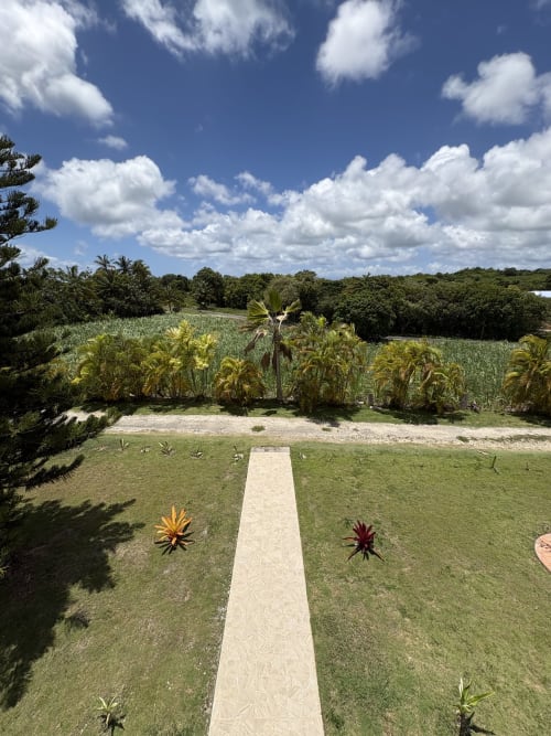 Jardin tropical de la villa L'ASETA PARADISE avec pelouse entretenue, allée en pierre et palmiers luxuriants surplombant les champs