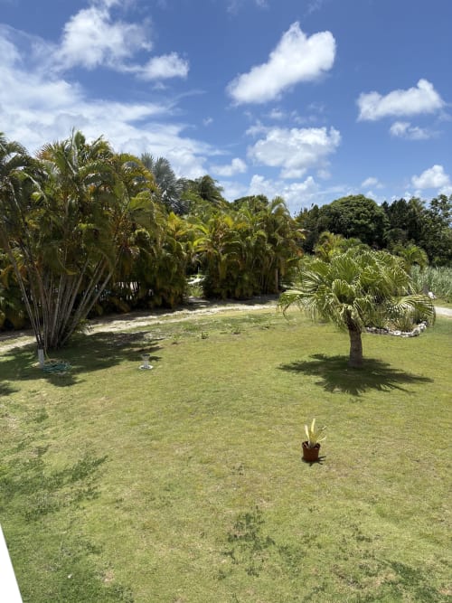 Jardin tropical luxuriant de la villa L'ASETA PARADISE à Grand-Bourg avec palmiers, pelouse soignée et ciel bleu
