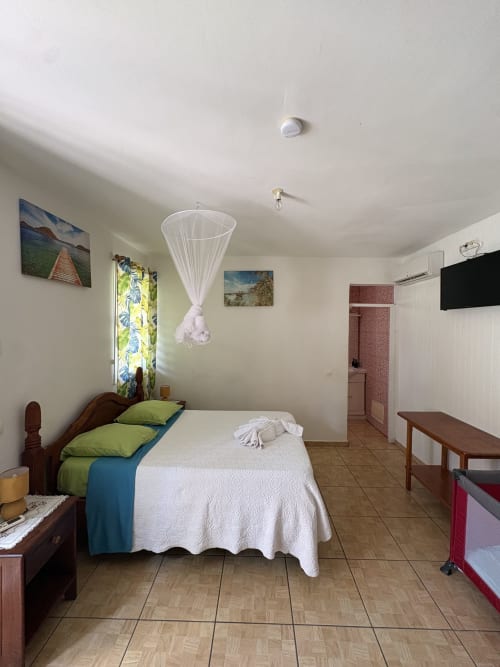 Chambre spacieuse à la villa L'ASETA PARADISE à Grand-Bourg avec lit, moustiquaire, TV et vue sur le jardin