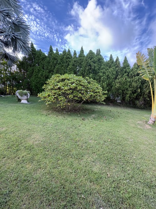 Villa luxuriante à L'Aseta Paradise avec pelouse soignée, arbuste ornemental, palmiers et conifères à Grand-Bourg