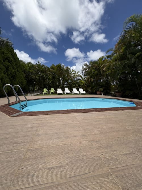 Piscine bleue scintillante avec transats entourée de palmiers tropicaux à la villa L'ASETA PARADISE à Grand-Bourg