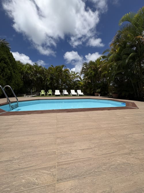 Piscine de la villa L'Aseta Paradise avec terrasse en bois, transats et palmiers tropicaux sous ciel bleu à Grand Bourg