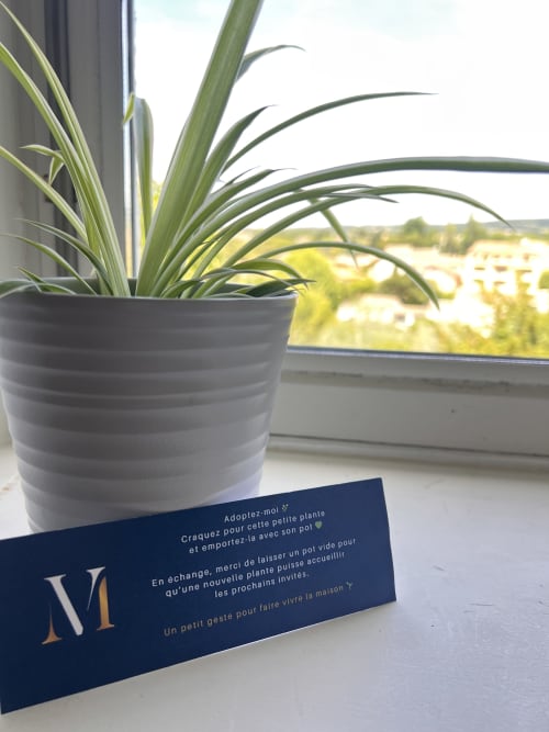 Plante verte en pot sur le rebord de fenêtre à La Maison de Vaison B&B, Vaison-la-Romaine, avec vue sur la campagne et message de bienvenue