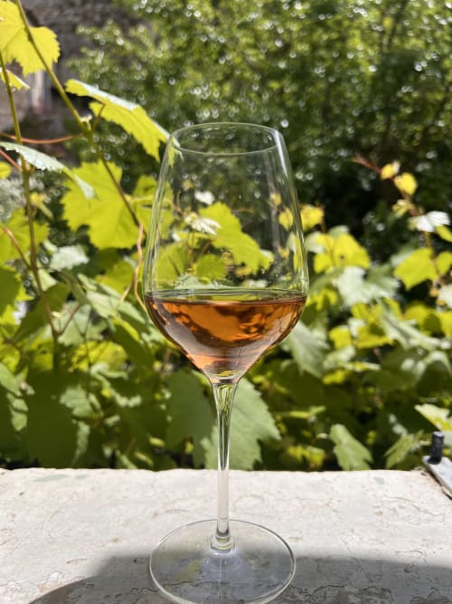 Verre de rosé dans le jardin de La Maison de Vaison avec vignes et fleurs à Vaison-la-Romaine