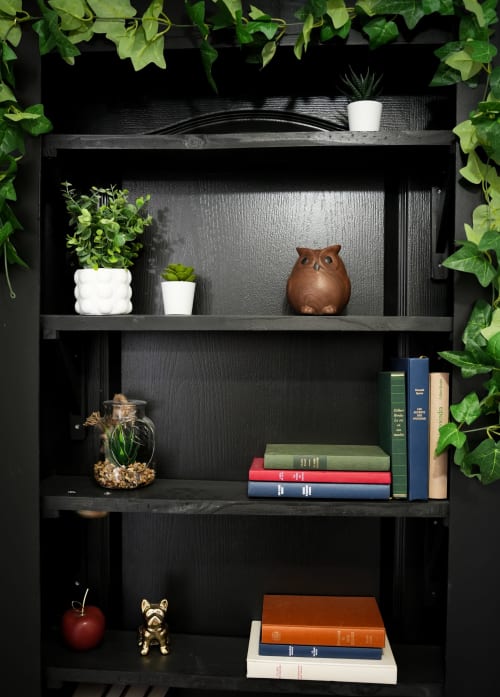 Étagère noire dans l'appartement Escapade Chic présentant livres, plantes en pot, hibou décoratif et succulente aux séjours