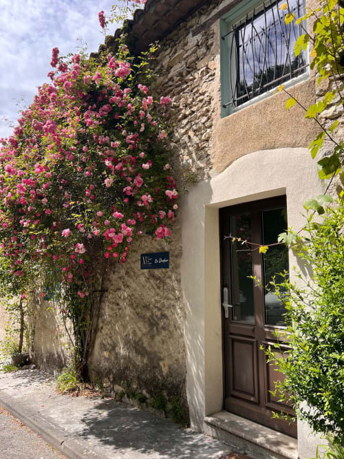 Des roses roses grimpant sur la façade en pierre de La Maison de Vaison, un charmant gîte en Valréas-la-Romaine, France, avec des