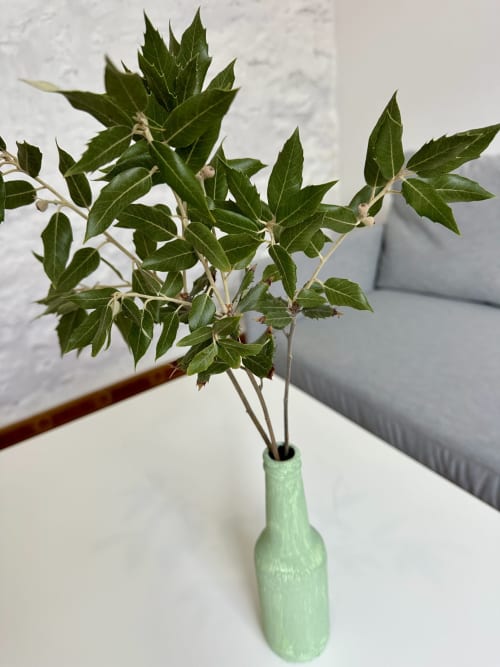Arranjo de folhagem verde fresca em vaso verde-claro nos apartamentos Villas Simone Porto Santo, Portugal