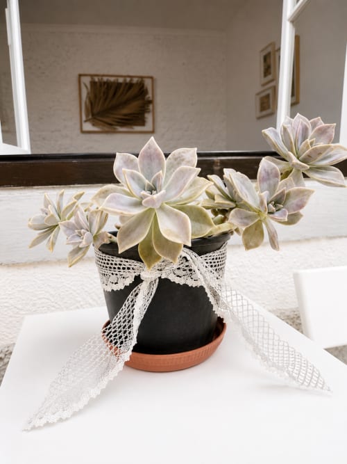 Planta suculenta decorativa com fita de renda branca em vaso preto sobre mesa branca nos apartamentos Villas Simone Porto Santo