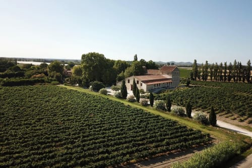 Suite L'Olive Sacrée à Cabannes, en France