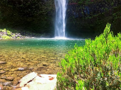 Cachoeira cenográfica em cascata em piscina turquesa cercada por vegetação exuberante perto do Arco da Calheta