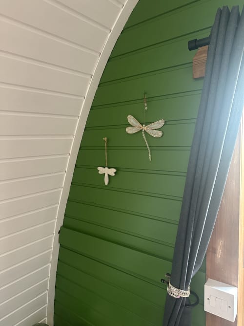 Green shiplap wall in Dragonfly Pod at Acorns Luxury Glamping with dragonfly decorations and gray curtains
