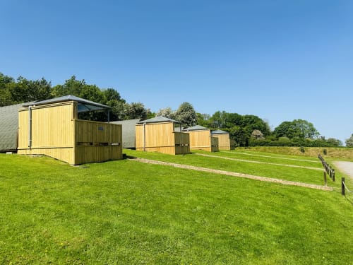Row of yellow glamping pods at Acorns Luxury Glamping in Holywell with green lawn and trees