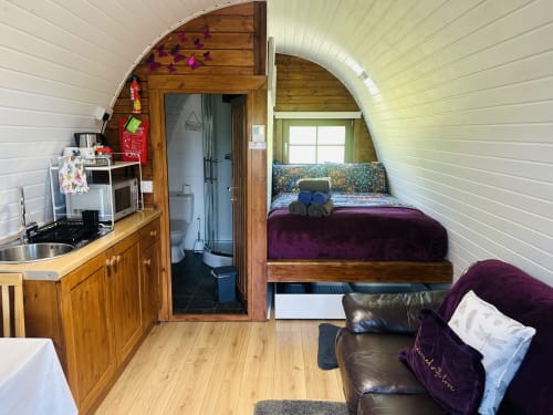 Butterfly Pod interior at Acorns Glamping showing kitchen area, bathroom, bed with purple bedding, and leather seating with