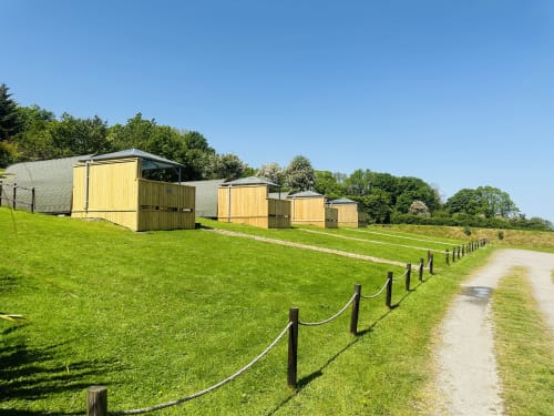 Butterfly Pod glamping pods at Acorns Luxury Glamping in Holywell, set on green lawn with countryside views