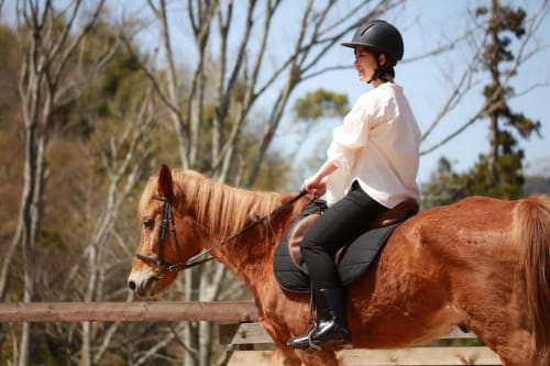 Jeune cavalier sur cheval brun à la Résidence de Vacances SOGNU DI MARE à Linguizzetta, Corse