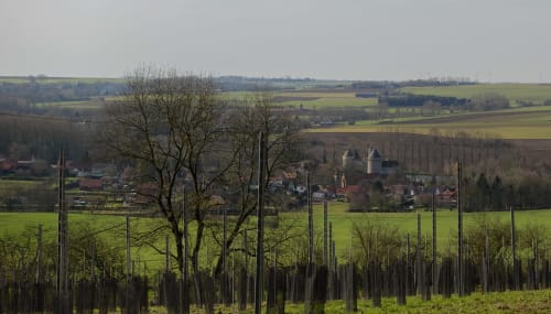Paysage de campagne vallonnée près de Fresnicourt-le-Dolmen avec village, champs et arbres nus dans la vallée d'Artois