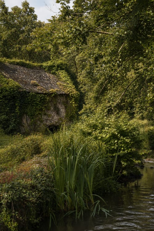 Vieille chaumière en pierre abandonnée, envahie de lierre, au bord d'un ruisseau à Au Bon Séjour, Sainte-Suzanne-et-Chammes
