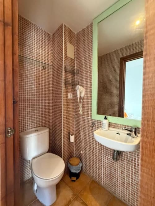 Baño compacto en Hotelito Oliva Pensión en Oliva con azulejos de mosaico marrón, inodoro blanco, lavamanos con espejo de marco verde y