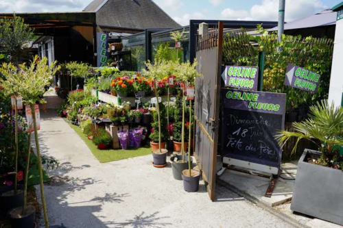 Vitrine du jardin de la boutique Celine Fleurs à Morville le Héron avec des fleurs colorées et des plantes verdoyantes
