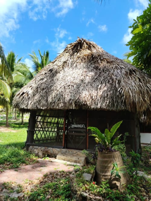 Cabaña tradicional con techo de palma en el hostel Cayuco Maya de Bacalar, rodeada de palmeras y vistas al lago