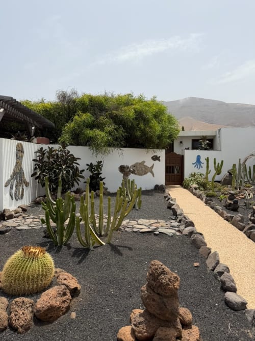 Jardín desértico con cactus y suculentas en bungalow Holiday Rural Lanzarote, Famara