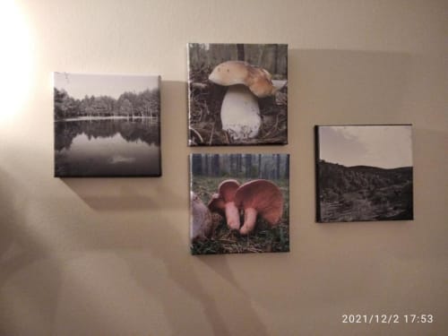 Cuatro fotografías de naturaleza en la pared del apartamento rural Casa Lahuerta en Bronchales, con reflejos de lago en bosque
