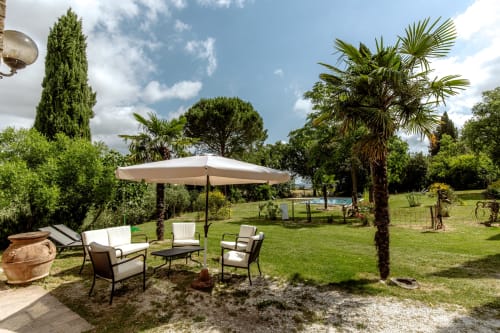 Area esterna di una villa toscana con ombrellone, lettini e palme vicino a Buonconvento