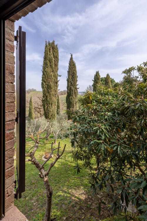 Vista del giardino toscano dalla camera d'albergo con cipressi e uliveti presso Buonconvento, Italia