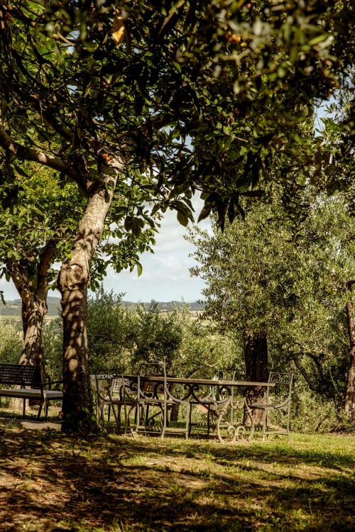 Giardino toscano con area relax ombreggiata sotto gli ulivi, vista sulla campagna ondulata di Buonconvento