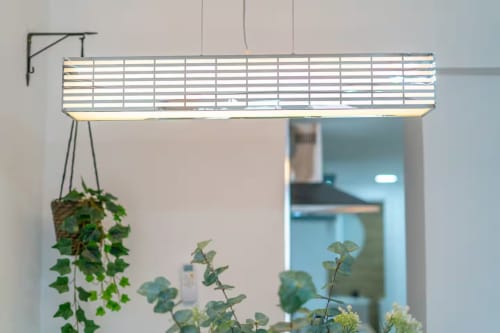 Lámpara de cultivo moderna sobre plantas en maceta en apartamento de Las Arenas Valencia, diseño interior contemporáneo