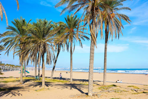 Palmeras proyectando sombras en la playa arenosa de Las Arenas, Valencia, con océano azul y olas al fondo