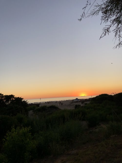 Atardecer sobre la playa con dunas y vegetación en G&H Apartments, Jerez de la Frontera