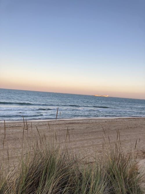 Vista del atardecer en la playa con pasto de duna al anochecer, paisaje costero