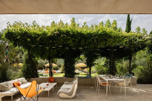 Terrasse de la Maison Jalon avec pergola couverte de vignes, chaises longues et vue sur le jardin à Aix-en-Provence