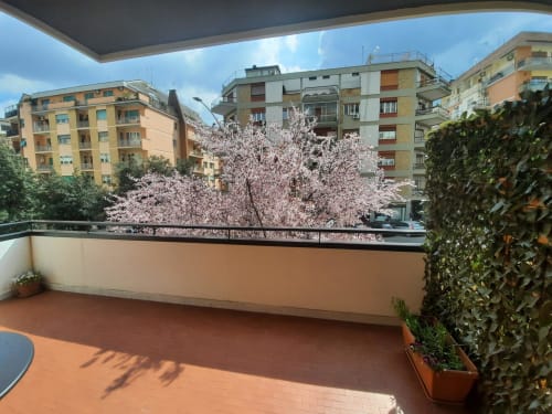 Vista dal balcone di alberi in fiore e appartamenti romani presso la Maritza Guest House