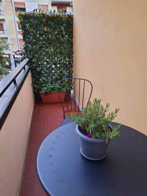 Giardino su balcone della Maritza Guest House Roma con succulente in vaso e parete di edera, vista sulla città