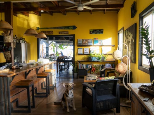 Bright yellow community kitchen at BarrBra BnB in Bocas del Toro with wooden furnishings, wicker décor, and a friendly dog