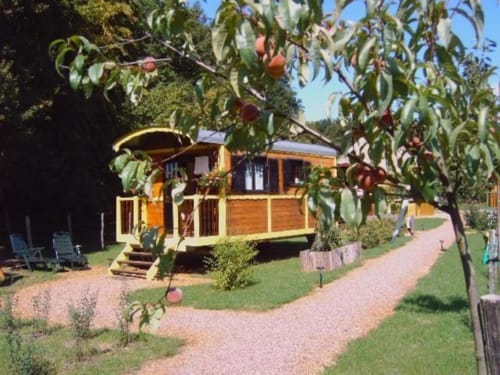 Charmant bungalow en bois au Relais de Maufront avec pêchers, allée en briques et chaises bleues à Ouagne.