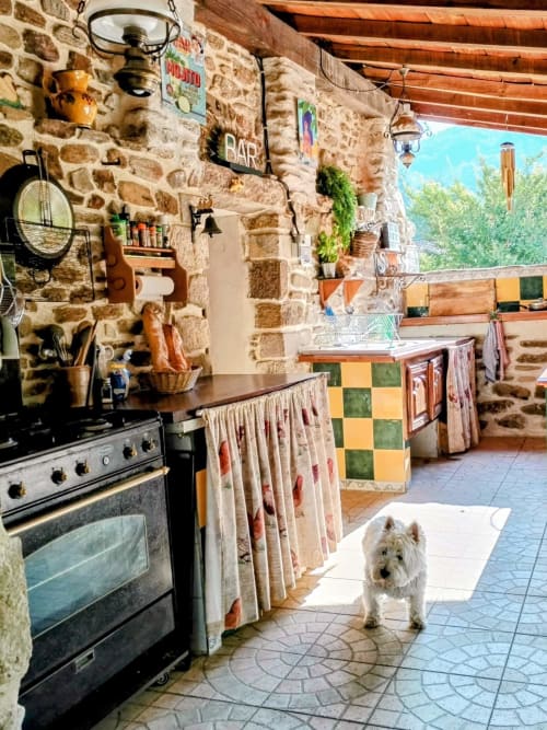 Rustic stone kitchen with terracotta roof beams, colorful tile accents, and white dog in open-air gîte, Cévennes France