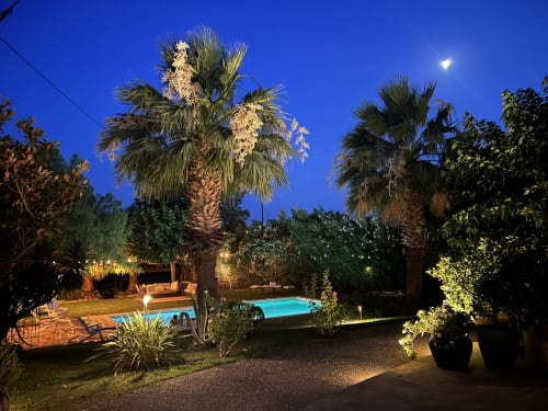 Jardin nocturne du Clos Bb avec piscine illuminée, palmiers et ciel étoilé à Saint-Cyr sur Mer