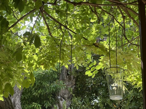 Luxuriant feuillage de vigne avec des photophores en verre suspendus au gîte Clos Bb à Saint-Cyr sur Mer