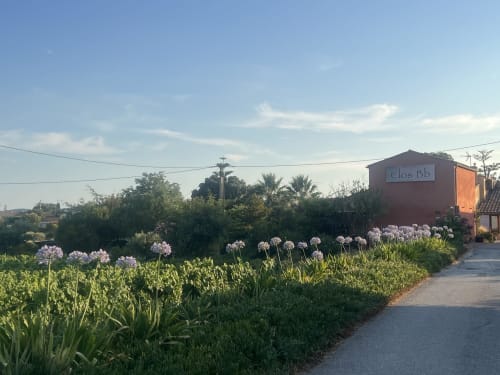 Entrée du gîte Clos Bb avec agapanthes violettes et jardins verdoyants à Saint-Cyr-sur-Mer