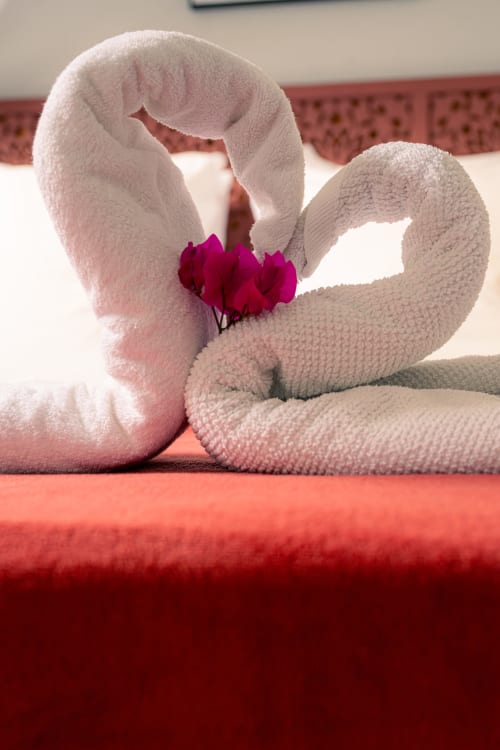 Deux cygnes en serviettes roses avec une fleur magenta à La Nid De Bellemont en Trois-Rivières, Guadeloupe